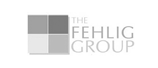 The Fehlig Group